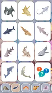 marine creatures cards of sea iphone screenshot 4