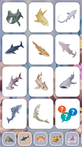 Marine Creatures Cards of Sea screenshot