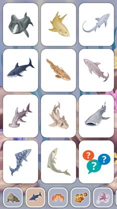 Marine Creatures Cards of Sea screenshot 4