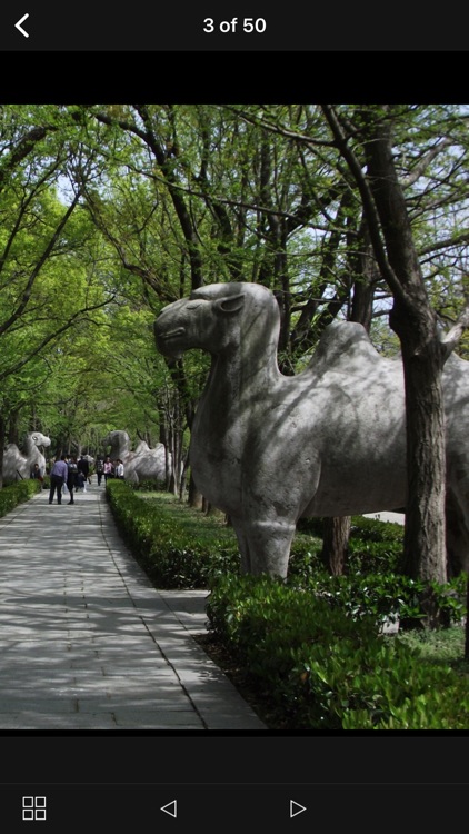 Nanjing Traveller's Guide screenshot-3