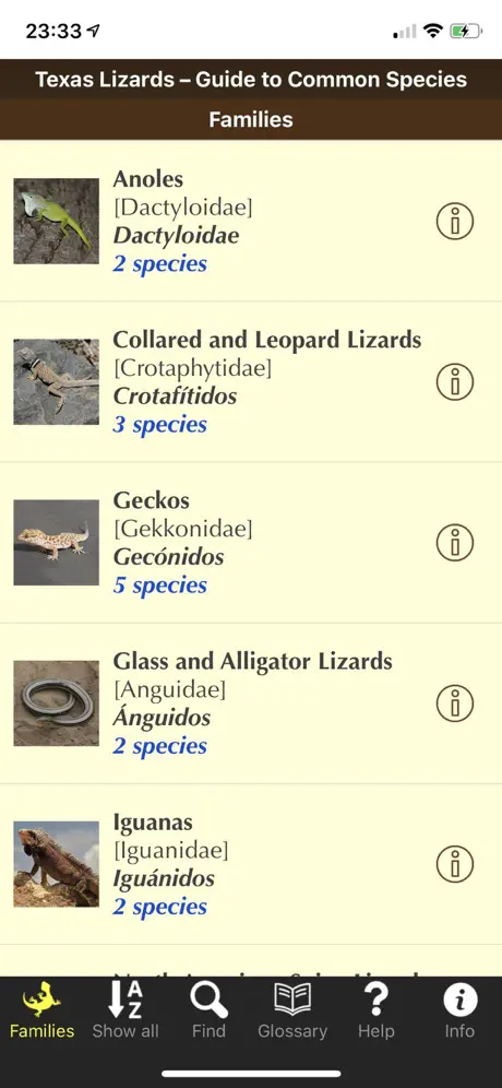 Texas Lizards