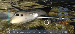Game screenshot Pro Flight Simulator New York hack