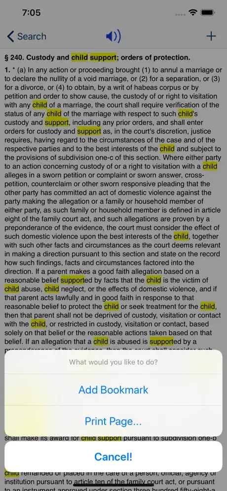 NY Domestic Relations Law 2025