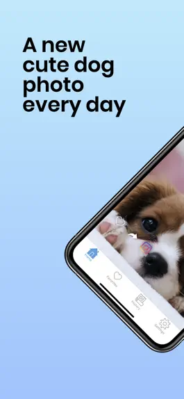 Game screenshot Daily Cute Dogs Photos mod apk