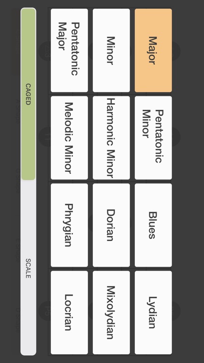 Learn Guitar Scale