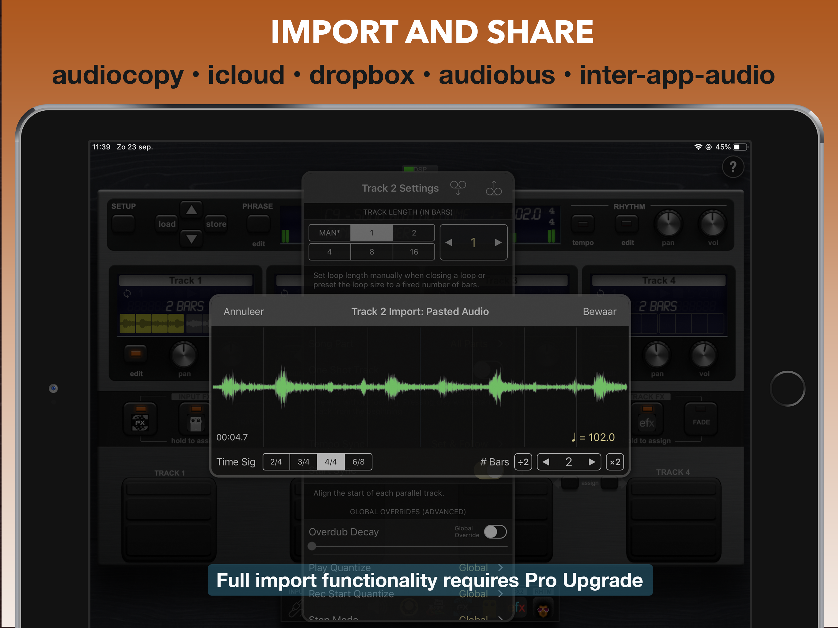 Quantiloop Pro - Live Looper