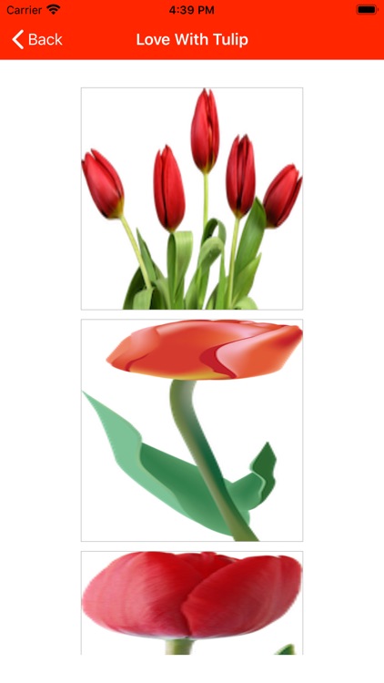 FunWithFlowers screenshot-6