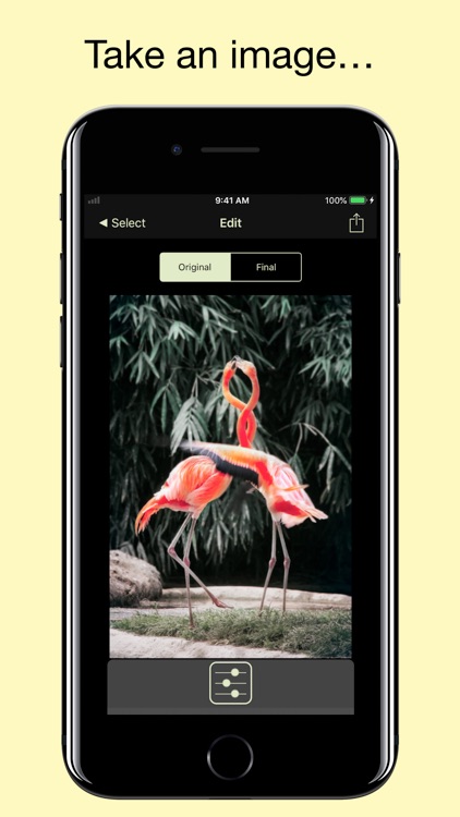 Flood - Photo Effect screenshot-0