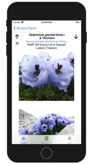 wildflowers of mount everest iphone screenshot 3