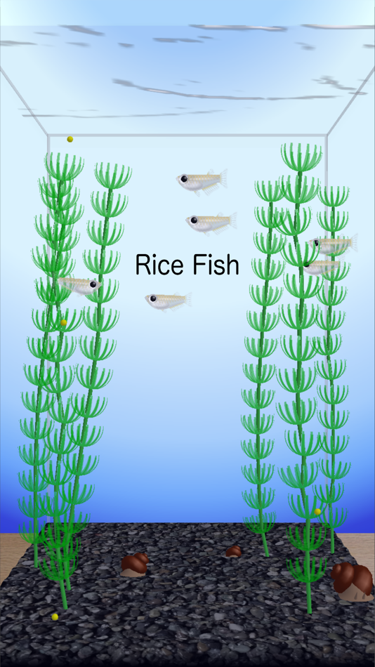 #1. Rice Fish (iOS) 由: KENSHI DOI