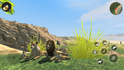 Wild Lion Survival Simulator Screenshot