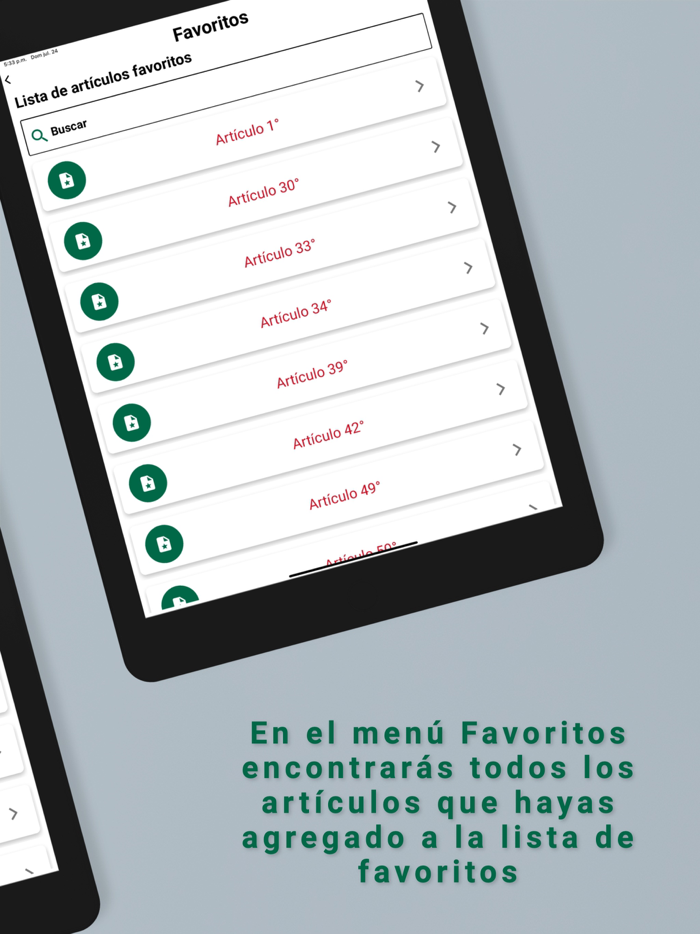 Constitución Mexicana