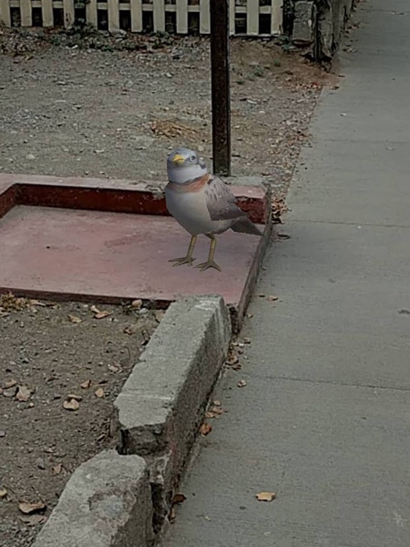 Screenshot #5 pour Fauna GO