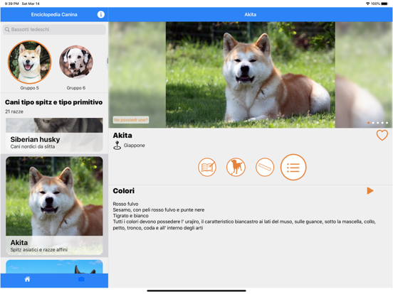 Screenshot #4 pour Enciclopedia Canina