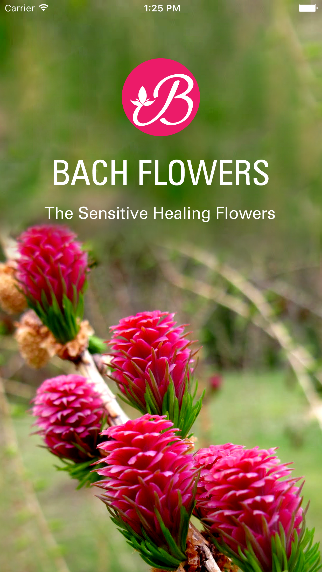 Bach Flowers Remedies