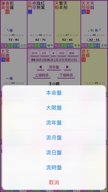 紫微四化飛星 screenshot-4