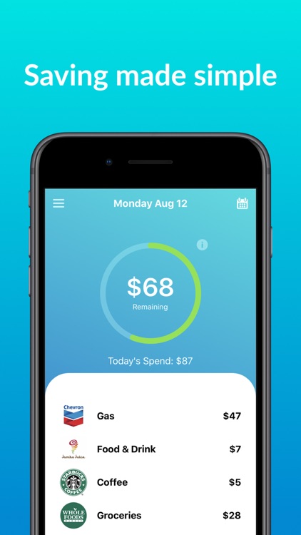 Wismo: What I Spend Money On