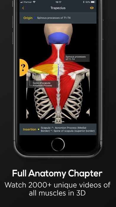 Posture by Muscle & Motion Screenshot