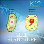 Biology Cell Structure App Alternatives