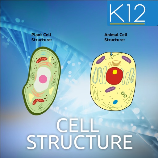 Biology Cell Structure