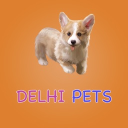 Delhi Pets