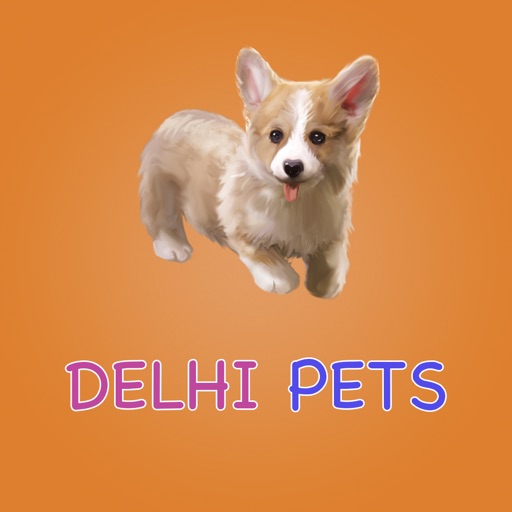 Delhi Pets