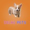 Delhi Pets app contain details of pets shops in Delhi