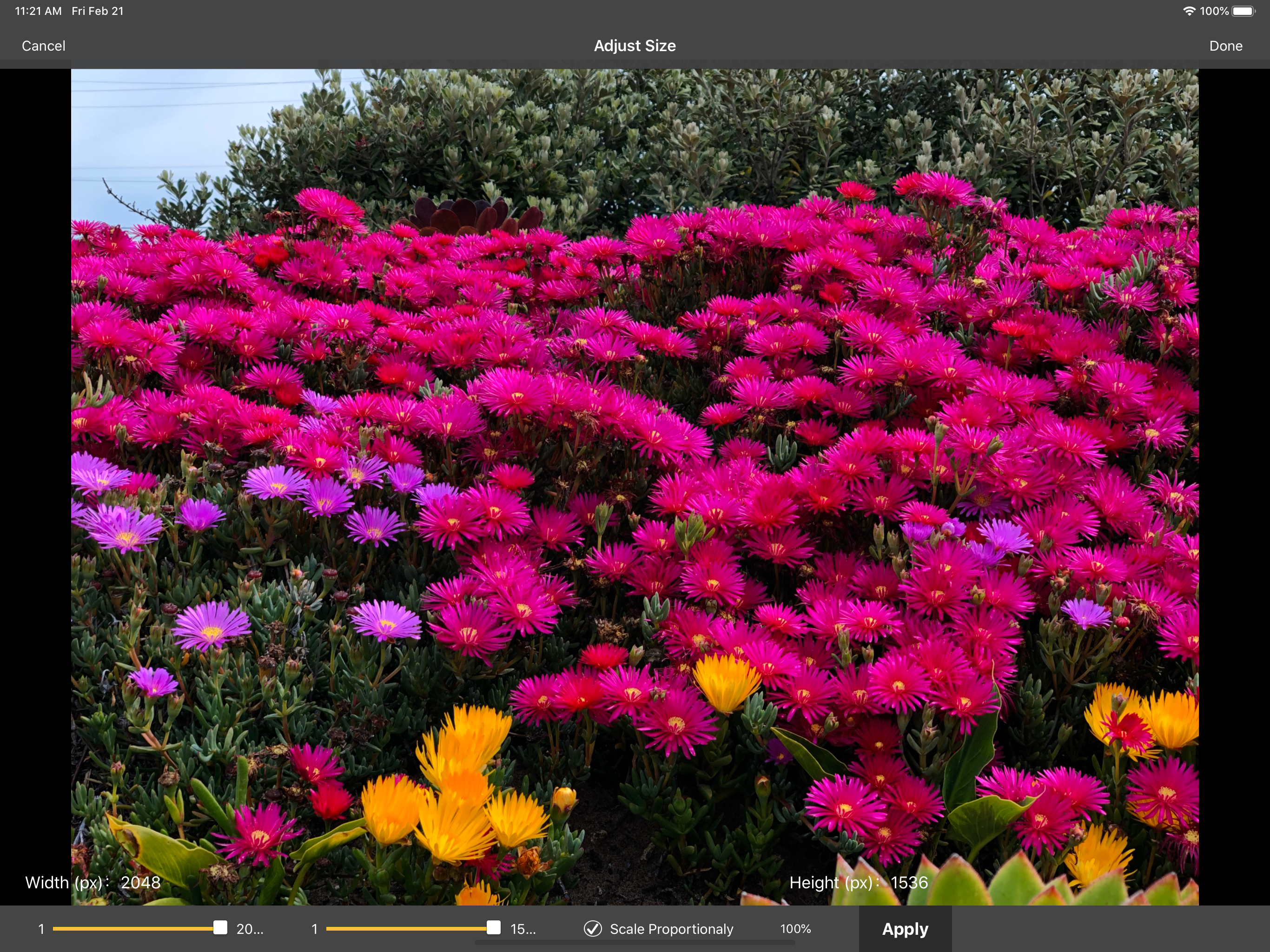 Power Photo – Photo Processing