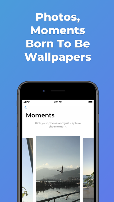 WallApp - Wallpapers by Design screenshot 4