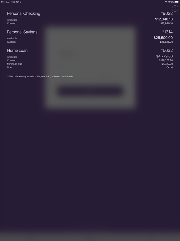 Screenshot #4 pour SVB Private Bank