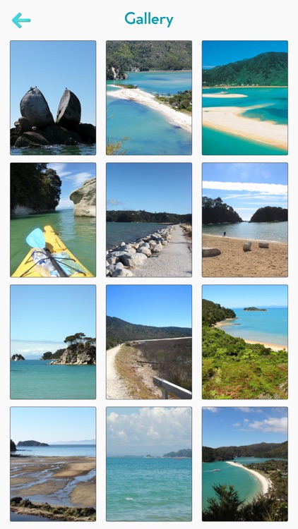Abel Tasman National Park Tour screenshot-3