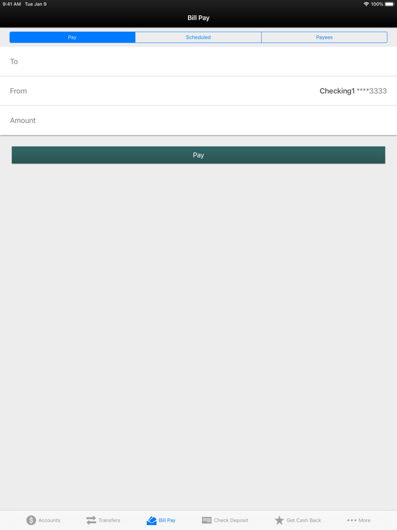 OFCU Mobile Banking iPad screenshot 5 - Finance app