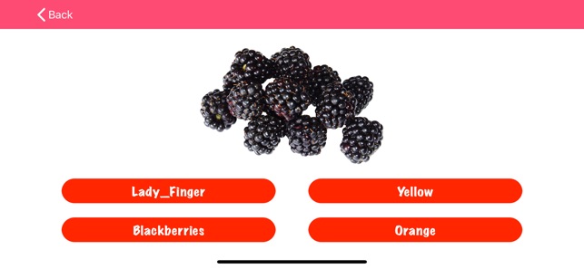 Kids Find Fruit(圖3)-速報App