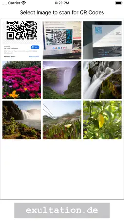 QR Code (Pro) screenshot 1