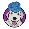 All Aboard Doggie Daycare icon