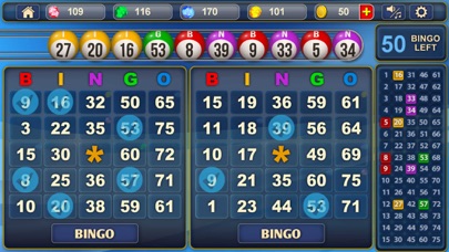 Bingo screenshot 2