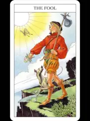 beginner's guide to tarot айпад изображения 2