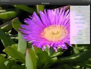 mobiletoolz™ pro - for ipad айпад изображения 3