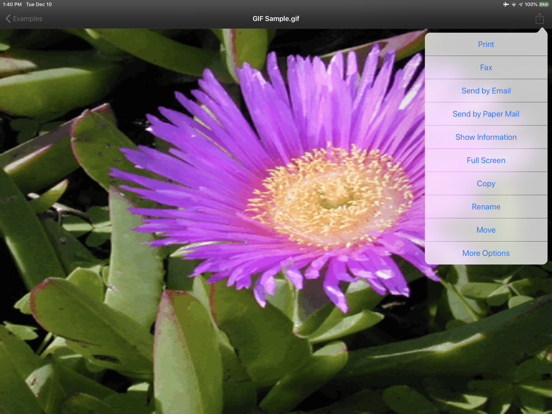 MobileToolz™ Pro - for iPadのおすすめ画像3