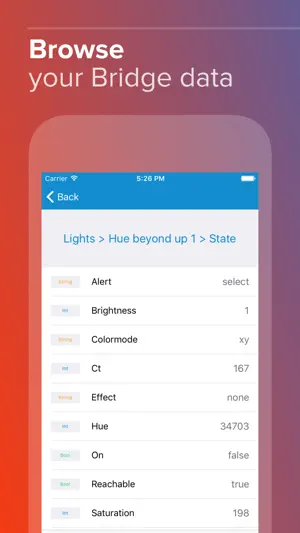Bridge Inspector Hue screenshot 3