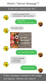 secret message exchange problems & solutions and troubleshooting guide - 1