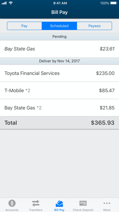 Newburyport Banking Screenshot
