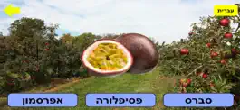 Game screenshot פירות ולומדים hack