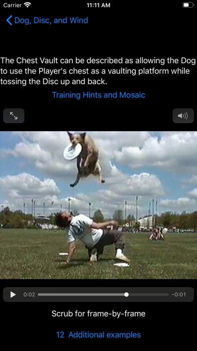 Dog, Disc, and Wind Screenshot