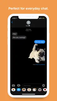real pug stickers iphone screenshot 2