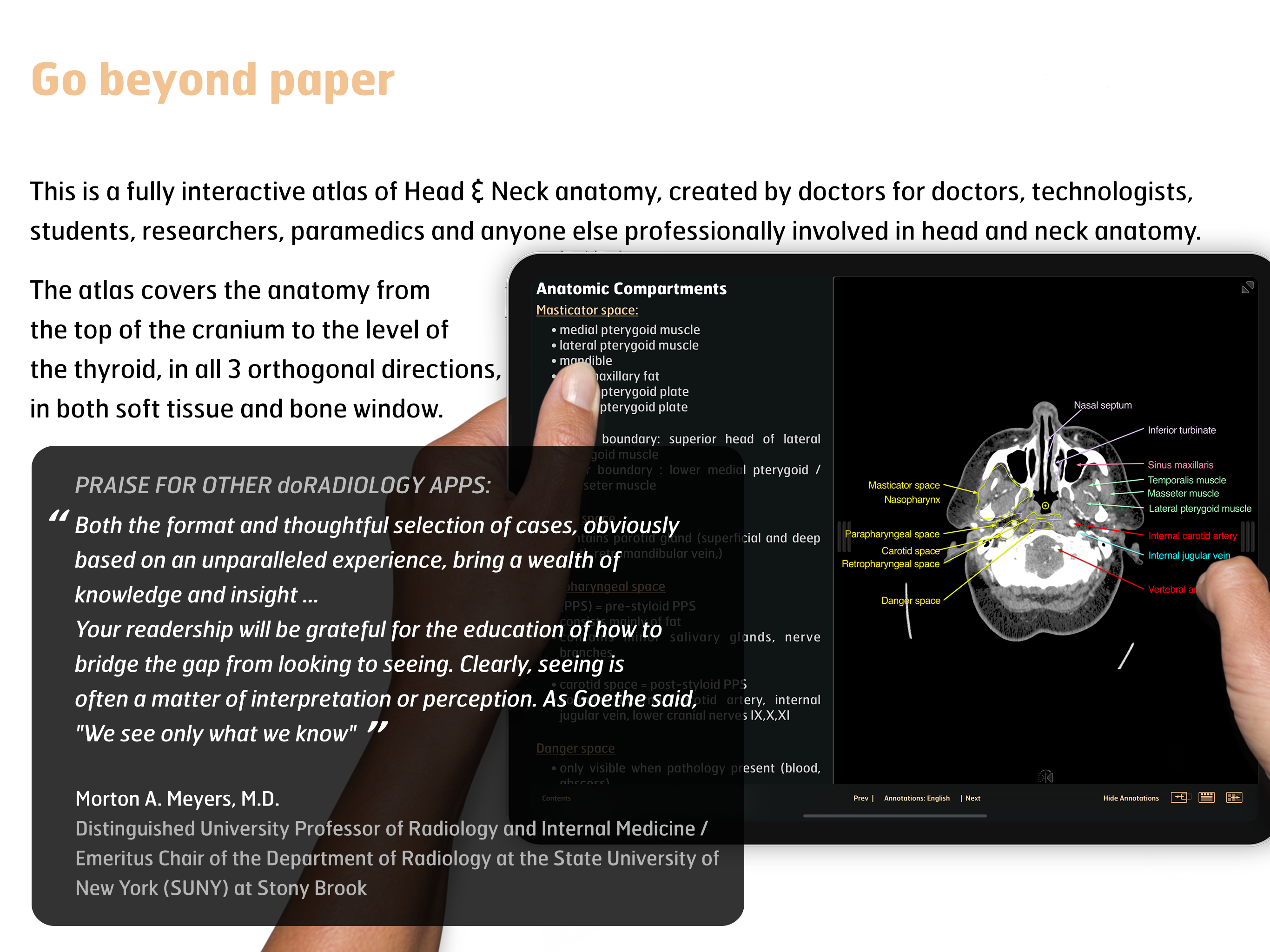 Radiology - Head&Neck Anatomy screenshot 6