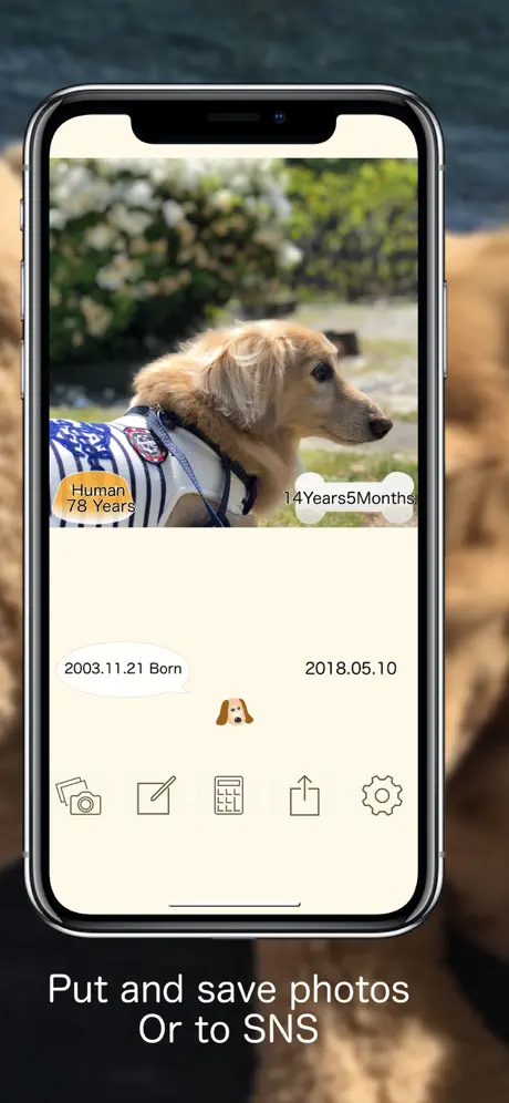 Pets Age