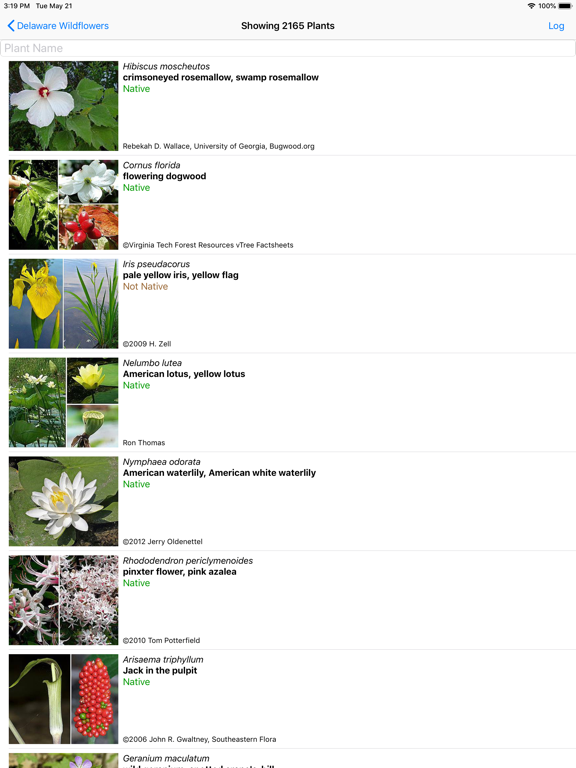 Screenshot #5 pour Delaware Wildflowers