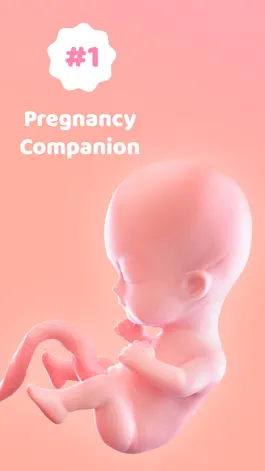 Game screenshot Pregnancy Tracker: Baby Bump mod apk