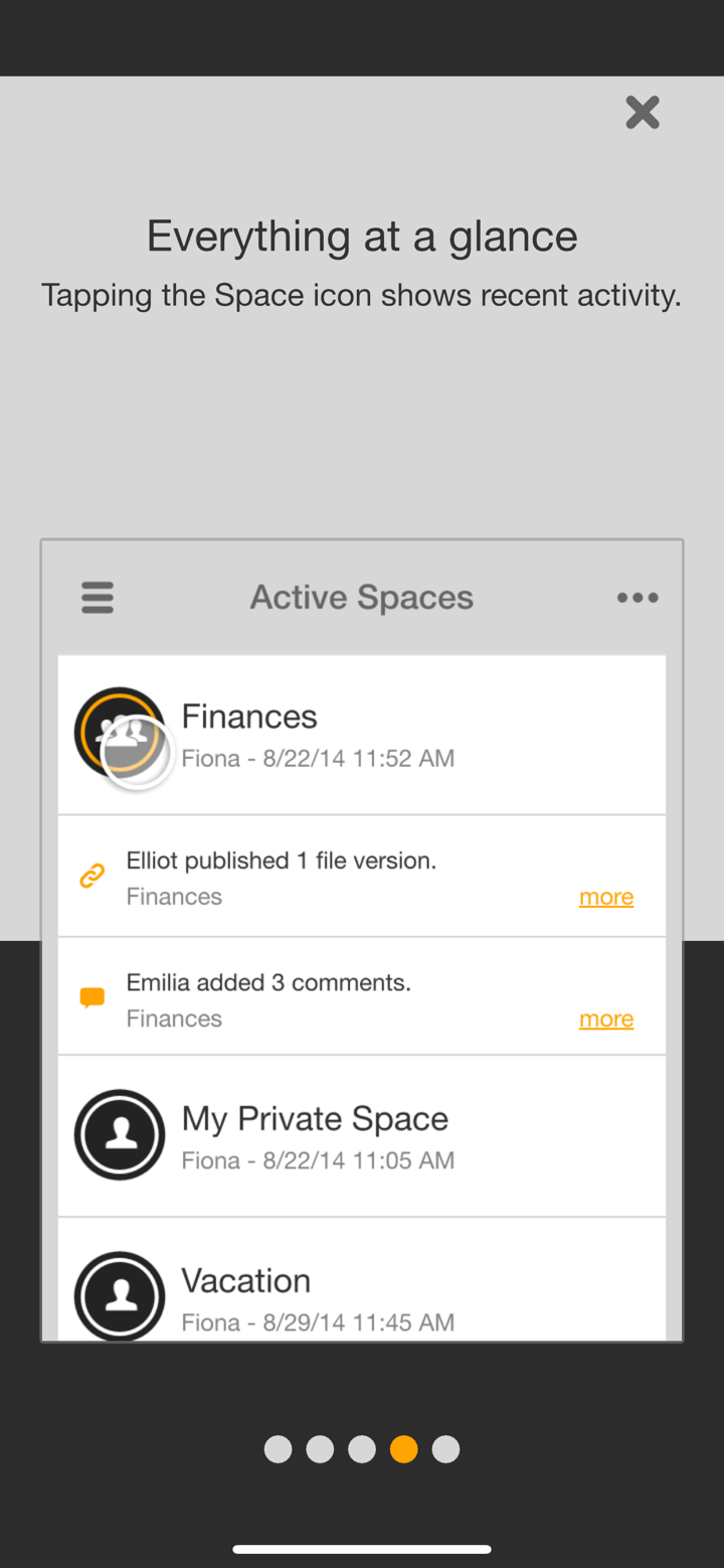 TeamDrive 5 screenshot 5
